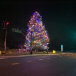Holiday Lighting Large Tree